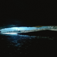 Illustration for article titled Inside The Worlds 3rd Largest Cave